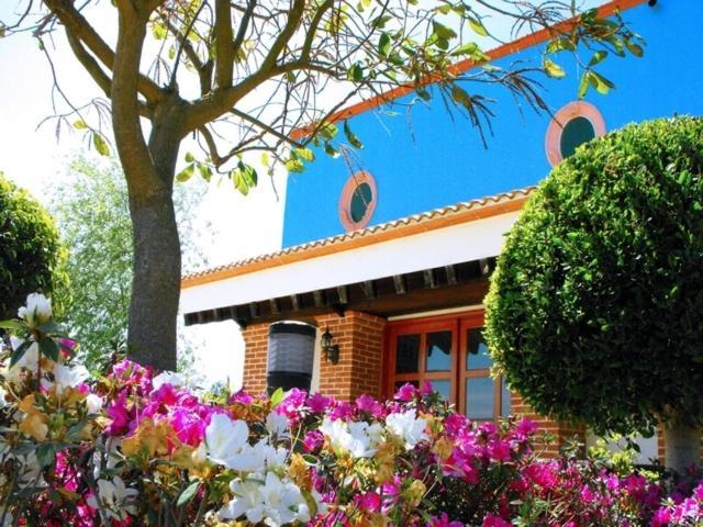 Hotel Real De La Montana San Miguel Regla Exteriér fotografie